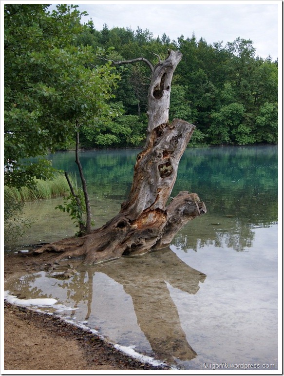 Хорватия 2010. Плитвицкие Озера