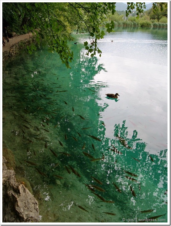 Хорватия 2010. Плитвицкие Озера
